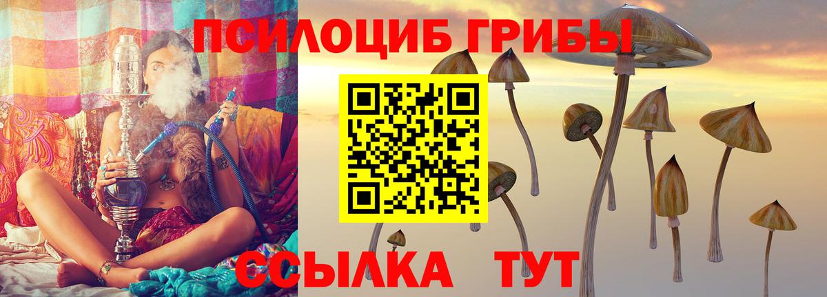 Галлюциногенные грибы Psilocybe Наро-Фоминск